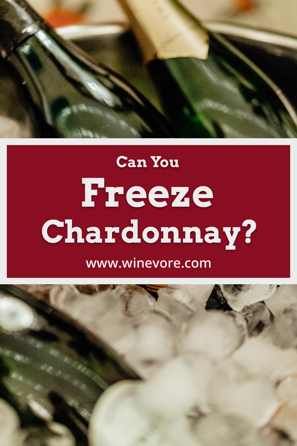Bottles of chardonnay in a bucket full of ice - Can You Freeze them?