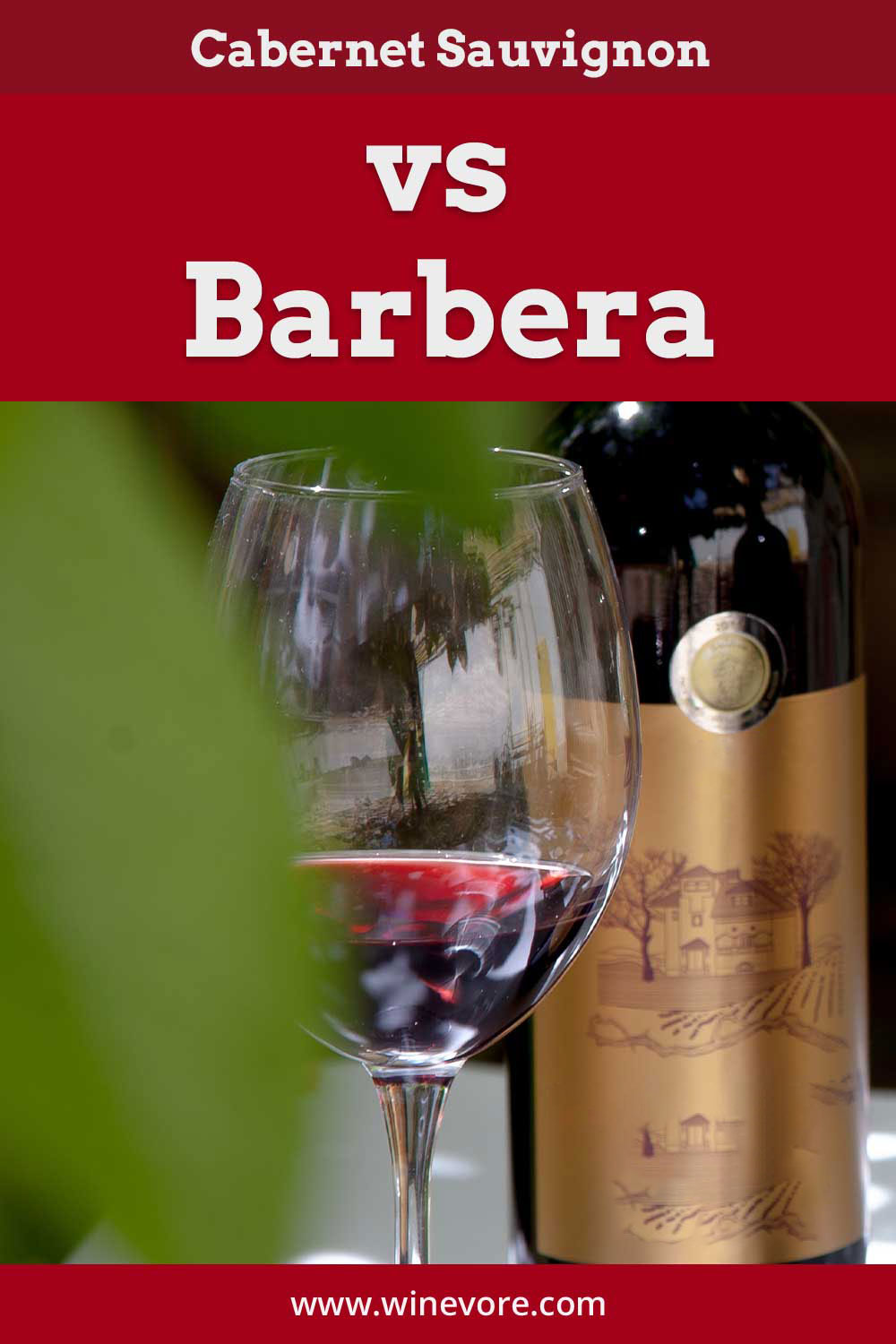 A wine glass with red wine in it near a bottle - Cabernet Sauvignon vs Barbera.