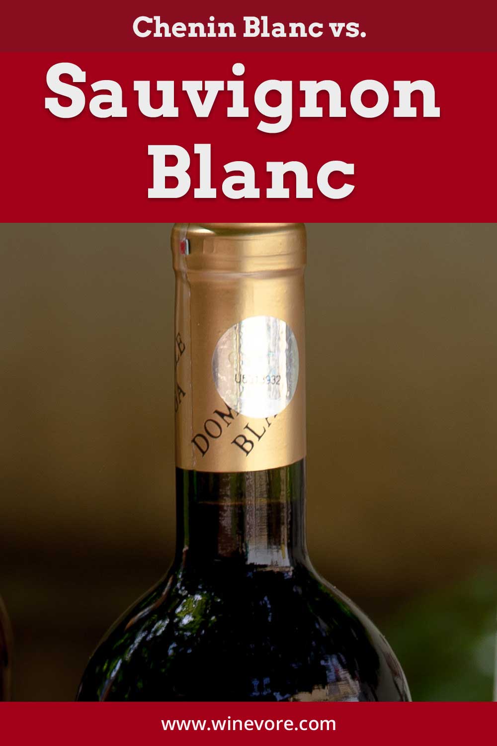 chenin-blanc-vs-sauvignon-blanc-winevore