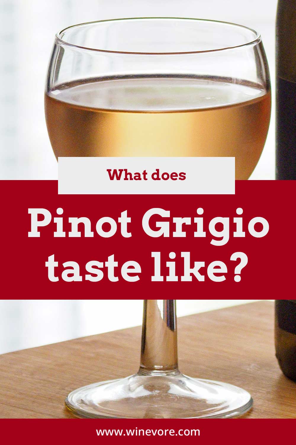 Pinot Grigio in a glass - what does it taste like?