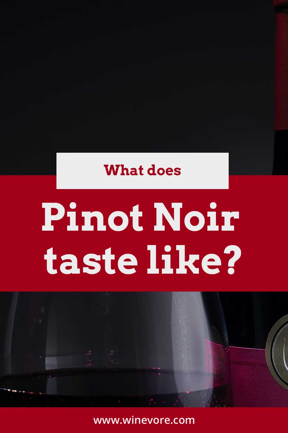 Close up of a wine glass with Pinot Noir in it - what does it taste like?