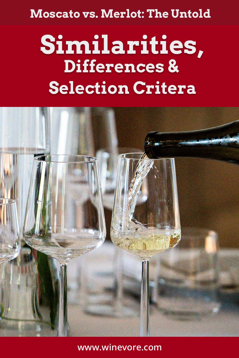 Poring white wine into a glass on a table - Moscato vs. Merlot: Similarities, Differences & Selection Criteria