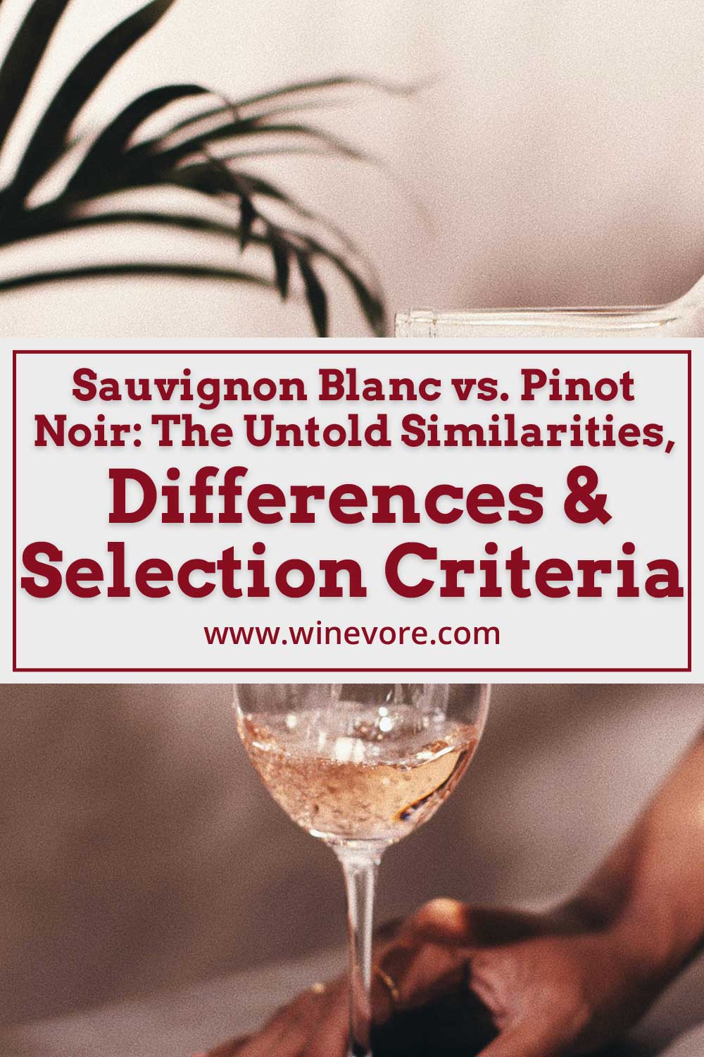 Bottom of a glass of wine held by a hand - Tempranillo vs Pinot Noir: Similarities, Differences & Selection Criteria