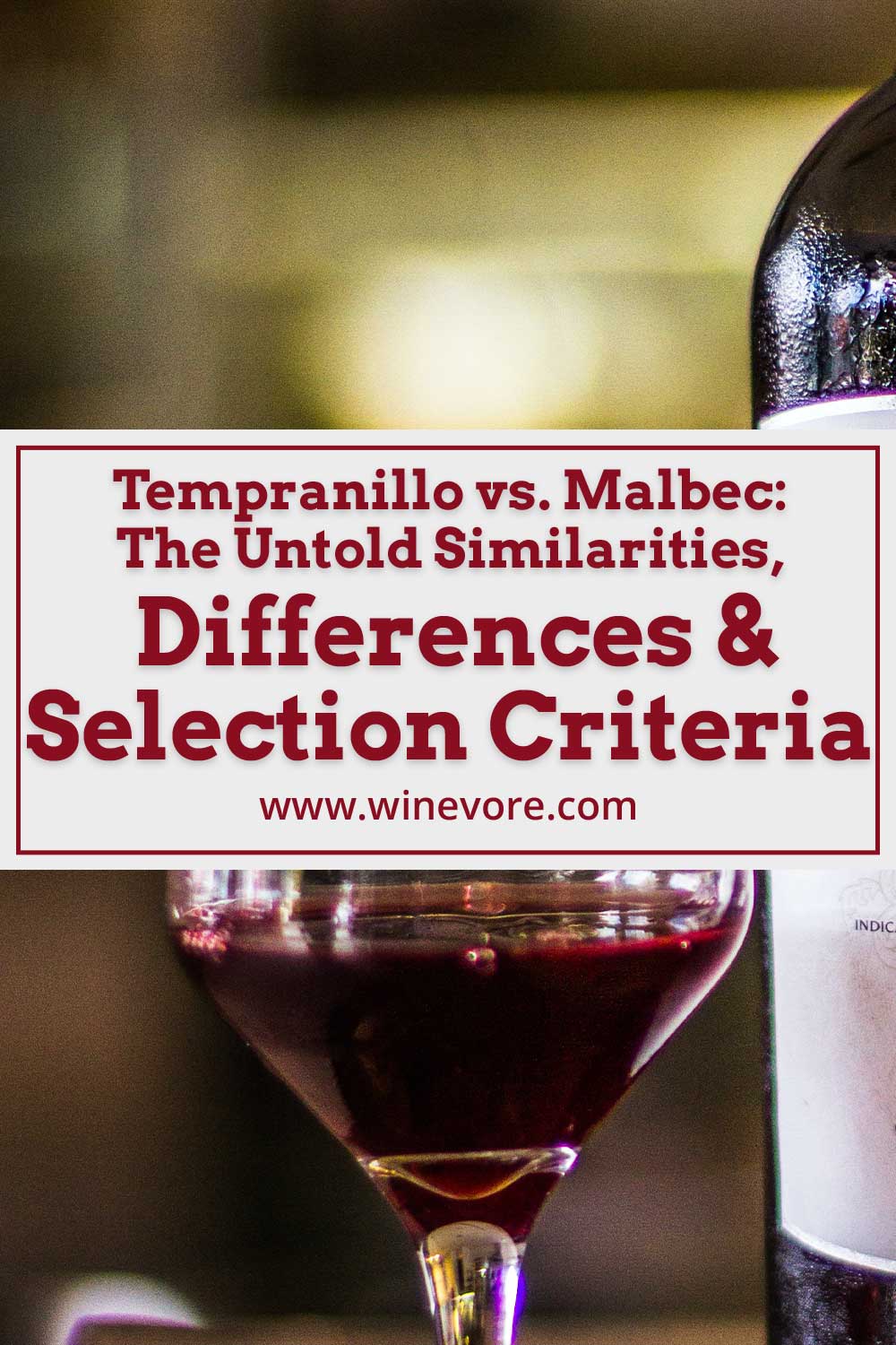 A wine glass with red wine in it near a bottle - Tempranillo vs. Malbec: Similarities, Differences & Selection Criteria