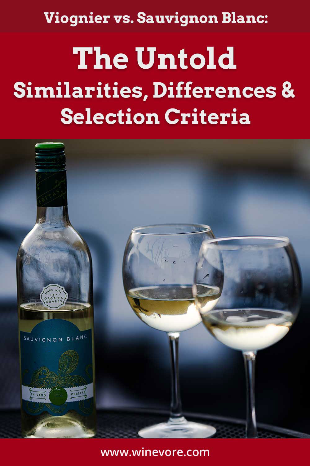 Two wine glasses and a bottle - Viognier vs. Sauvignon Blanc: Similarities, Differences & Selection Criteria