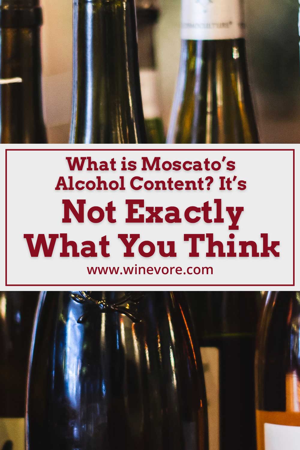 A few wine bottles - Moscato's Alcohol Content