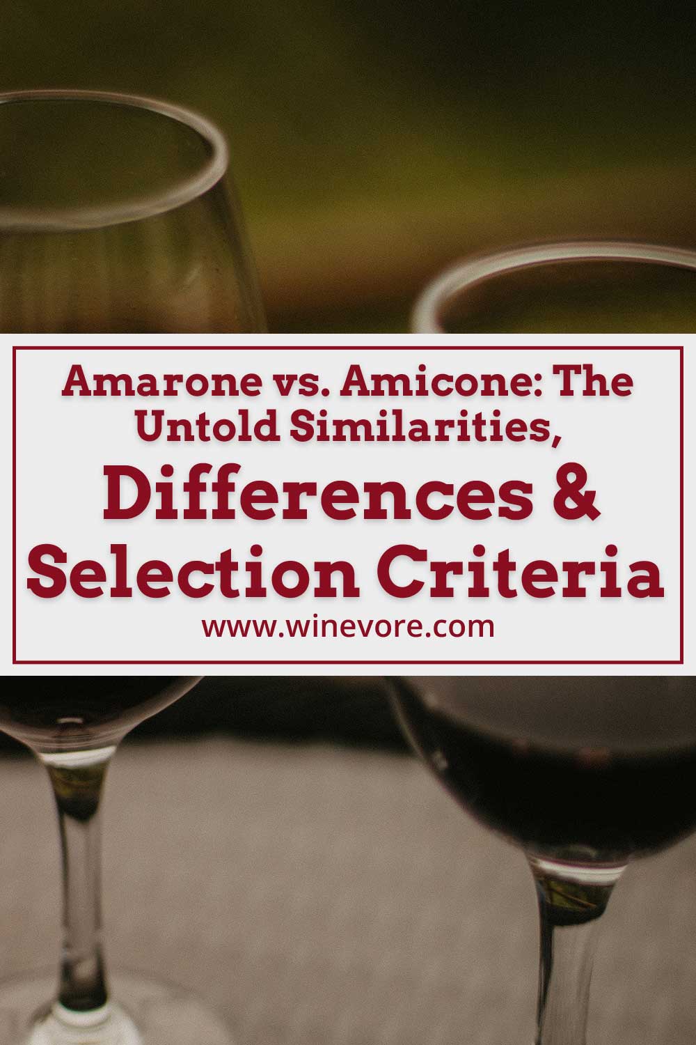 Two glasses of wine - Amarone vs. Amicone: The Untold Similarities, Differences & Selection Criteria