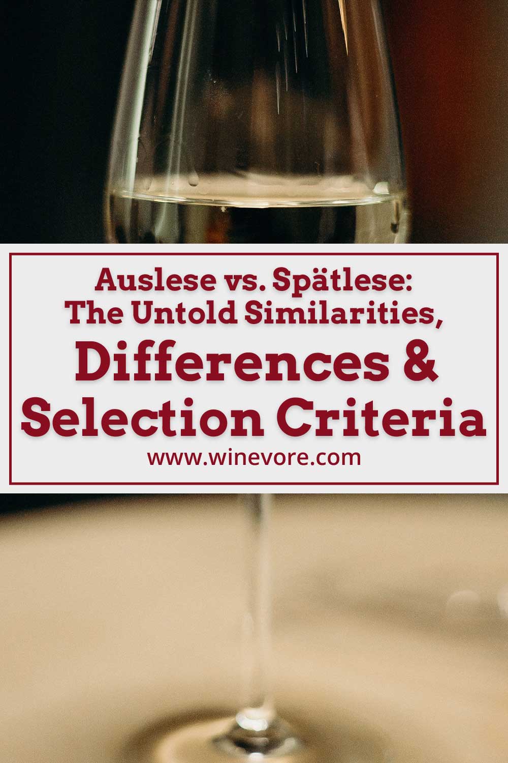 Close up of a wine glass with white wine in it - Auslese vs. Spätlese: The Similarities, Differences & Selection Criteria