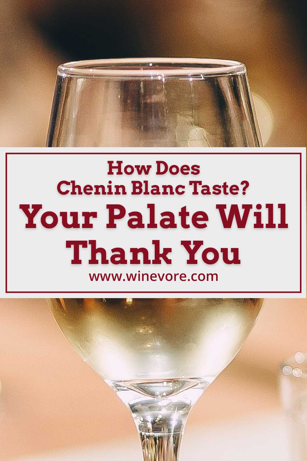 A wine glass with white wine in it - How Does Chenin Blanc Taste?