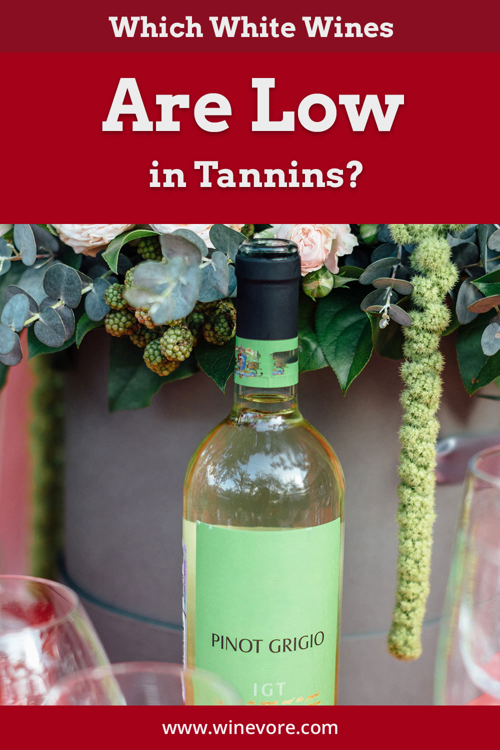 A unsealed wine bottle near decorative plants - Which White Wines Are Low in Tannins?
