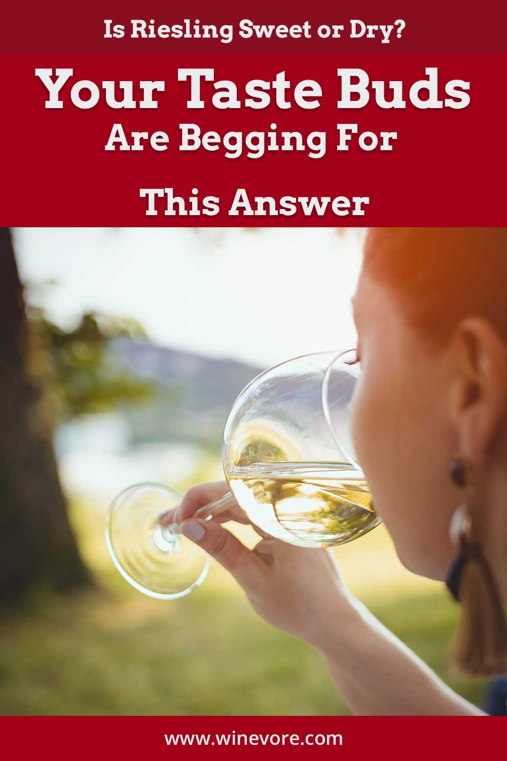 Woman drinking wine outdoors - Is Riesling Sweet or Dry?