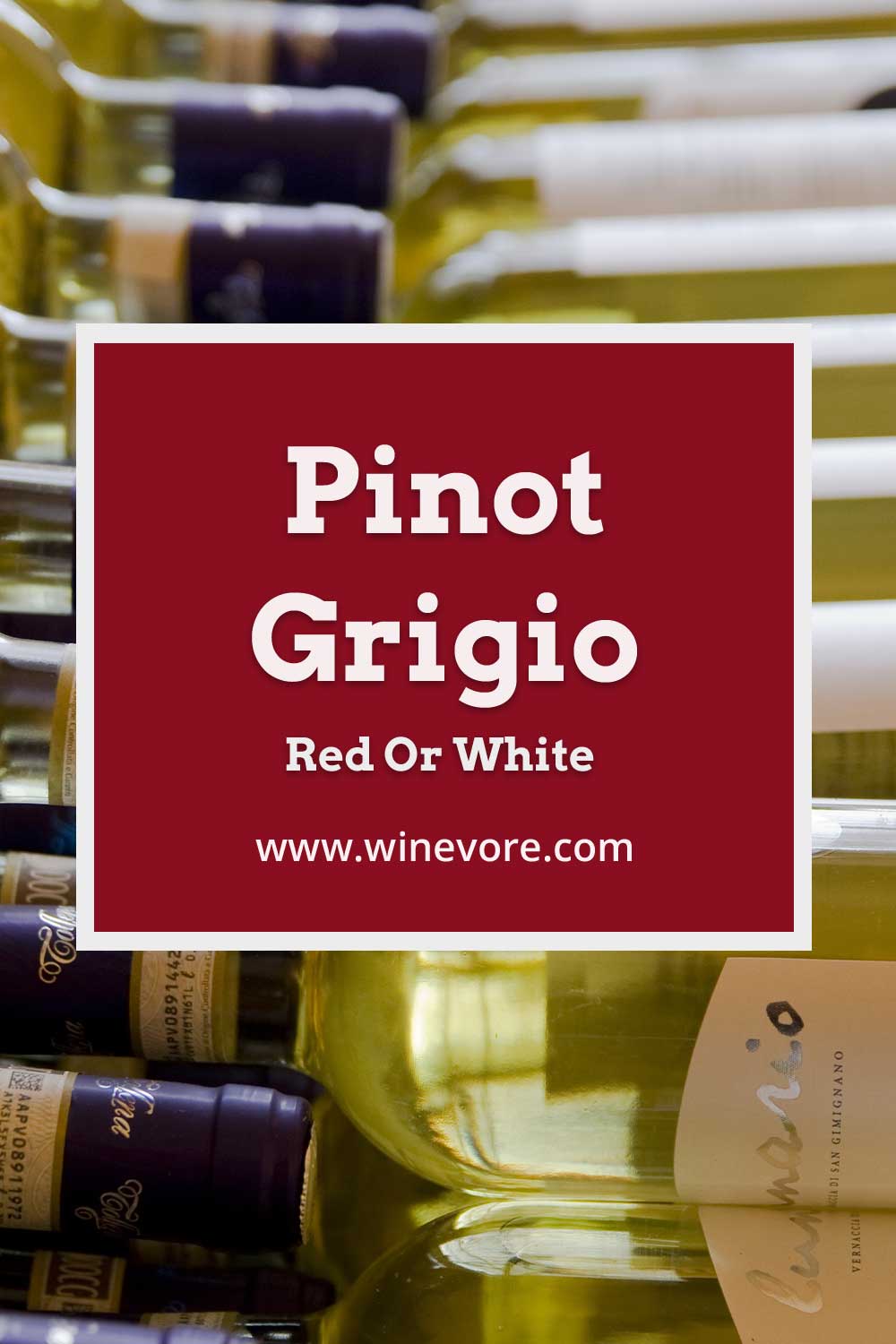 Some intake bottles of white wine - Pinot Grigio Red Or White?