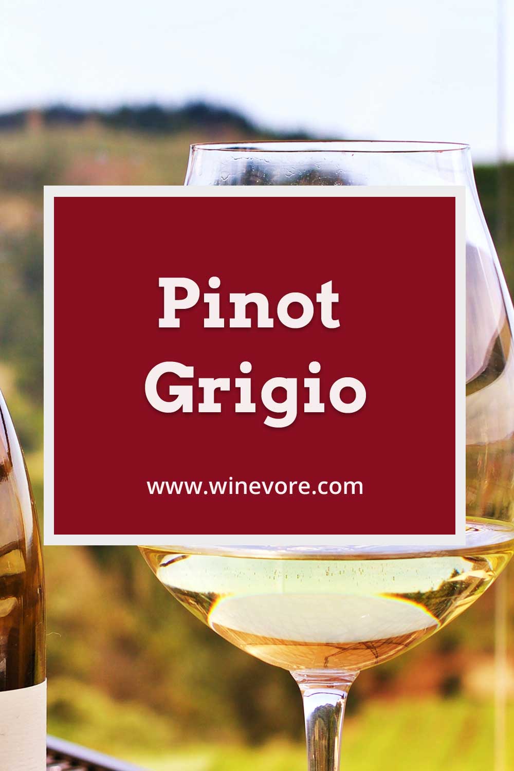 A glass slightly filled with white wine beside a wine bottle - Pinot Grigio.