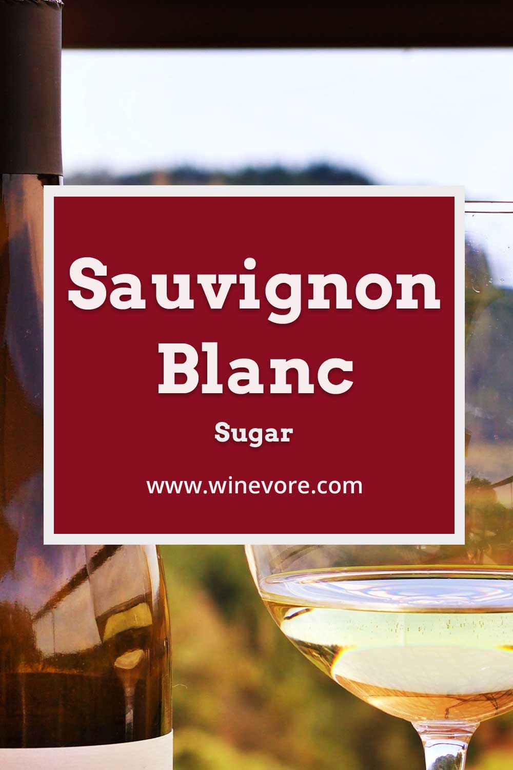 Wine glass and bottle in front of green surface - Sauvignon Blanc Sugar.