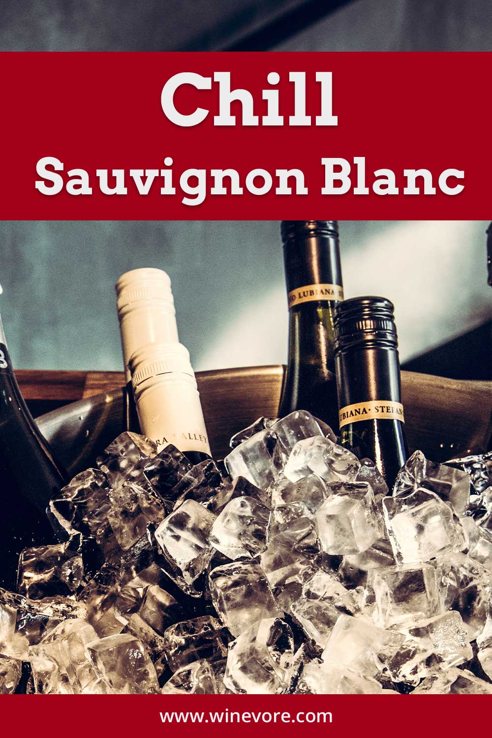 Some wine bottles deep in ice - Chill Sauvignon Blanc.