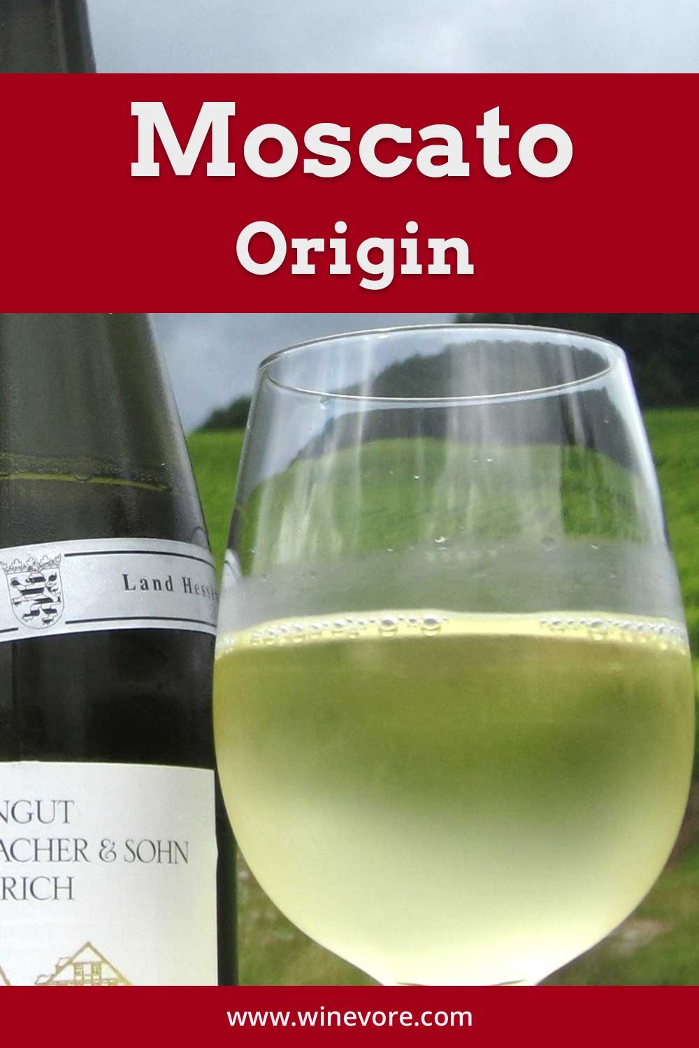 Moscato Origin Winevore