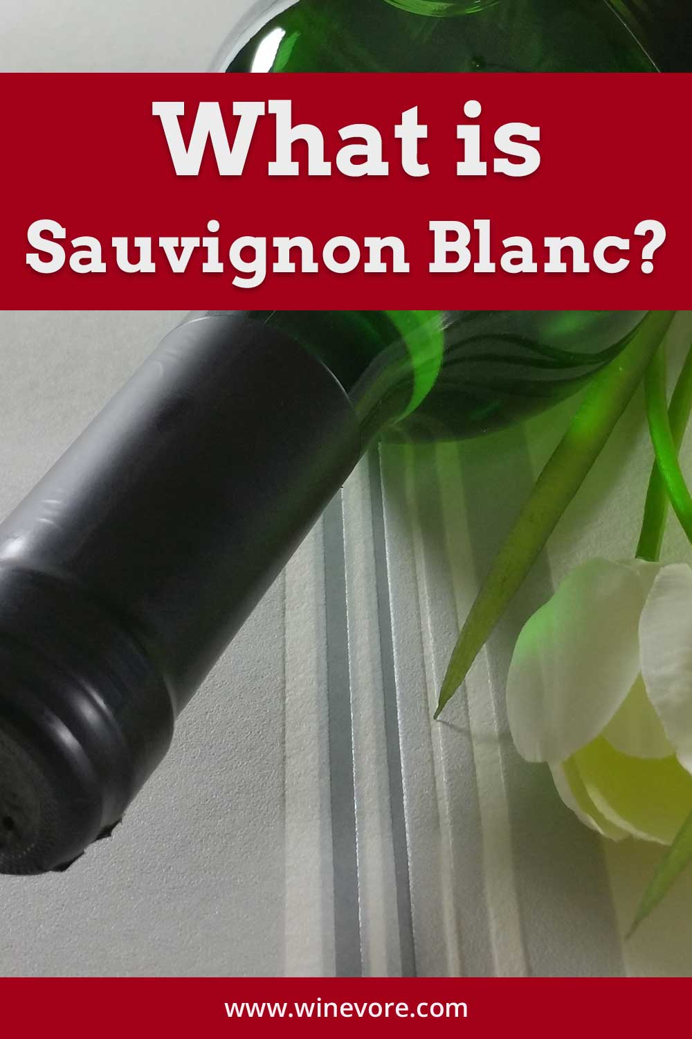 Green colour wine bottle and flower beside on white surface - What Is Sauvignon Blanc?