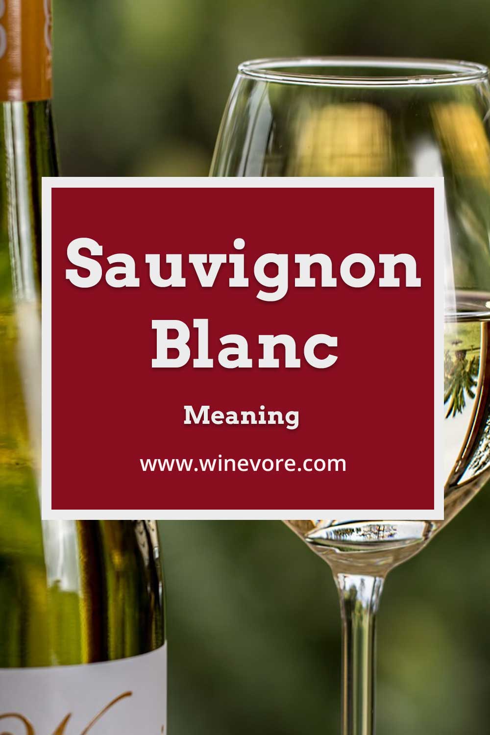 Sauvignon Blanc Meaning - Winevore