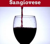 Filling red wine in a glass - Tempranillo vs Sangiovese.