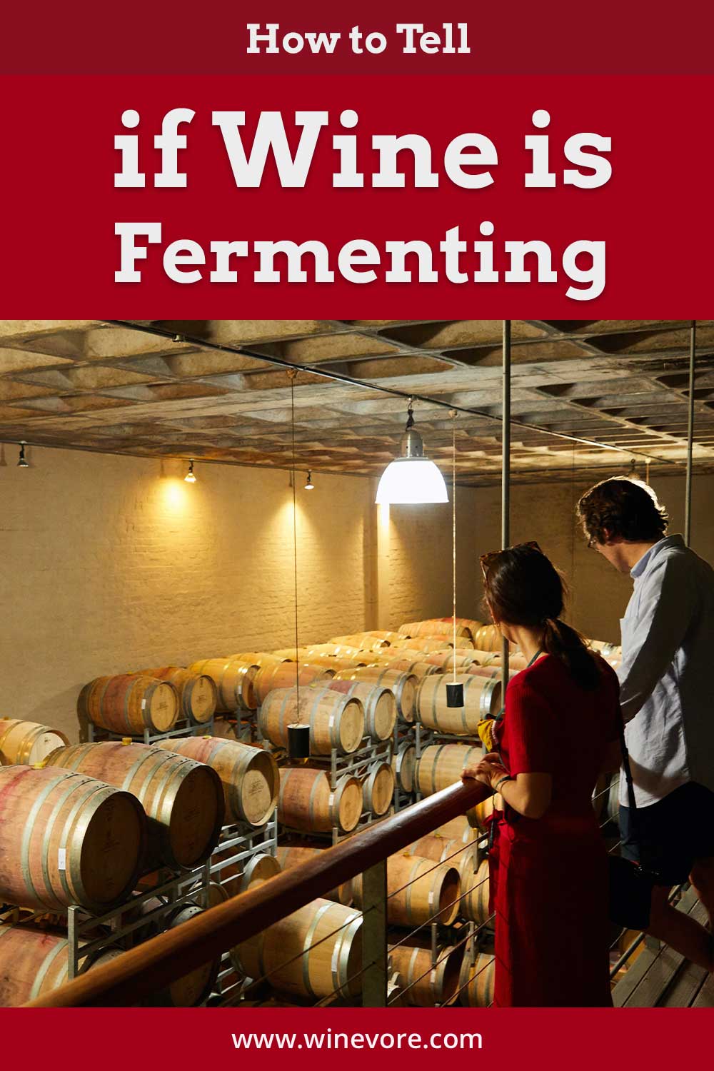 Man and woman looking at barrels of wine - How to Tell if Wine is Fermenting?